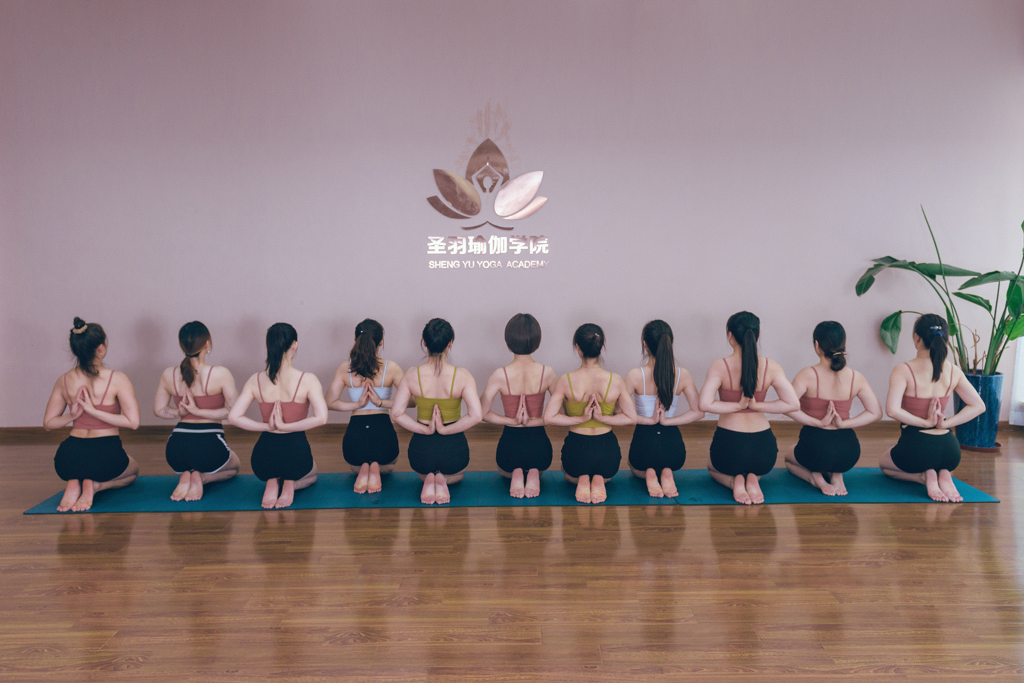 圣羽瑜伽学院